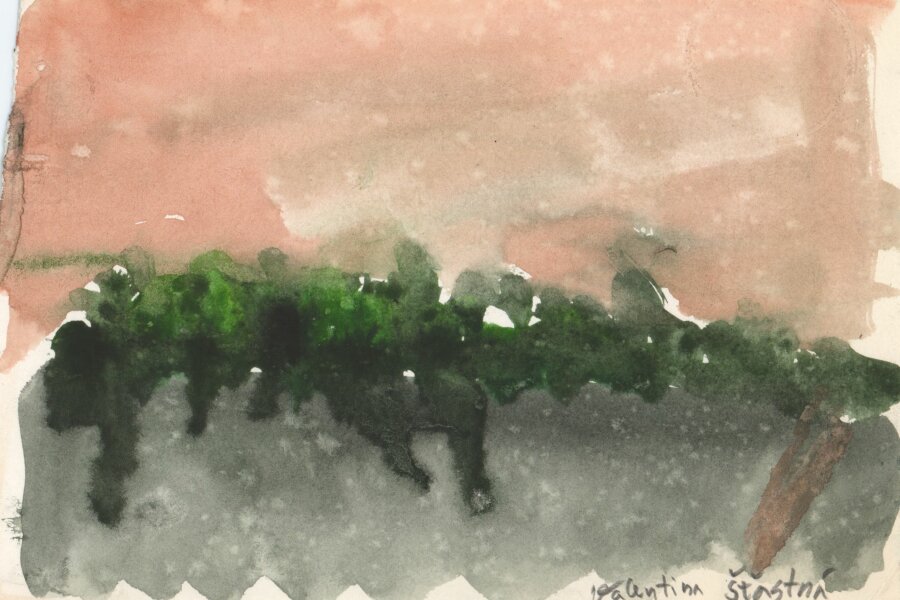 Valentina Šťastná, 3. ročník 